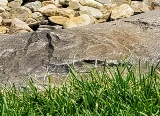 0 - Home 20 Textured Curbing